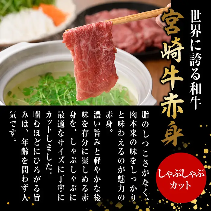 宮崎牛 赤身カット しゃぶしゃぶ (計500g・250g×2) しゃぶしゃぶ お肉 牛肉 黒毛和牛 宮崎牛 ブランド和牛 冷凍 国産 モモ ウデ 宮崎県産【YM-22】【YAMATO株式会社】
