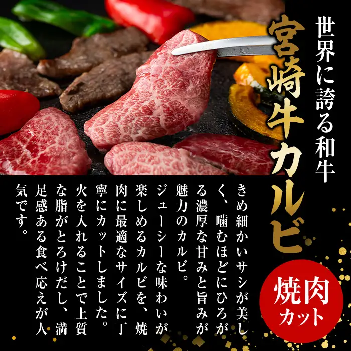 宮崎牛 カルビカット 焼肉 (計500g・250g×2) 焼肉 お肉 牛肉 黒毛和牛 宮崎牛 ブランド和牛 冷凍 国産 宮崎県産 カルビ バラ 【YM-32】【YAMATO株式会社】