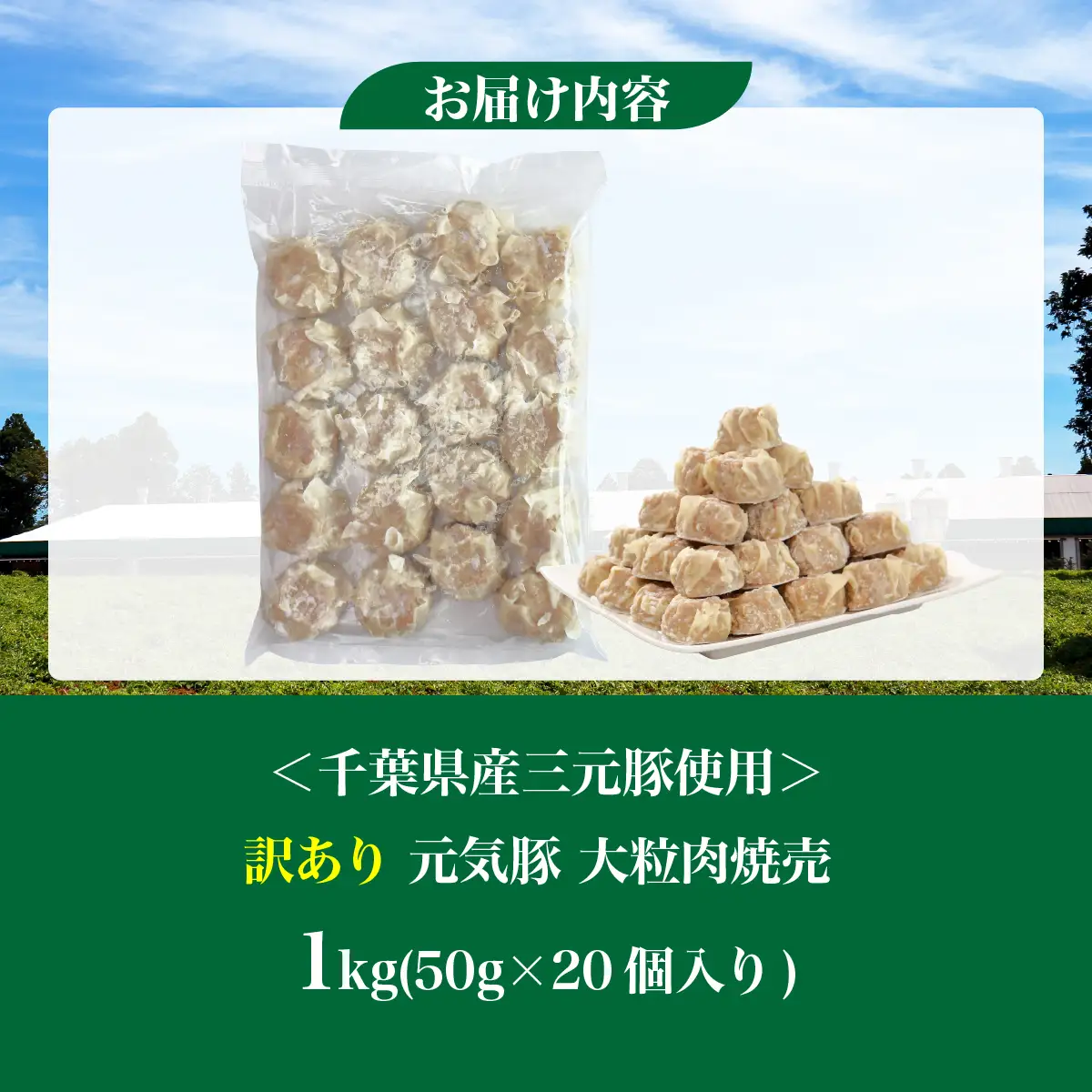 訳あり　元気豚 大粒肉焼売 1kg(50g×20個入り)_惣菜・加工品 シュウマイ  _【配送不可地域：離島・沖縄県】 TAKB059