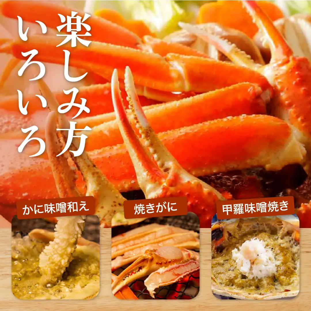 Y918【ボイル】訳あり 松葉がに 400g超 お手頃サイズ　2杯