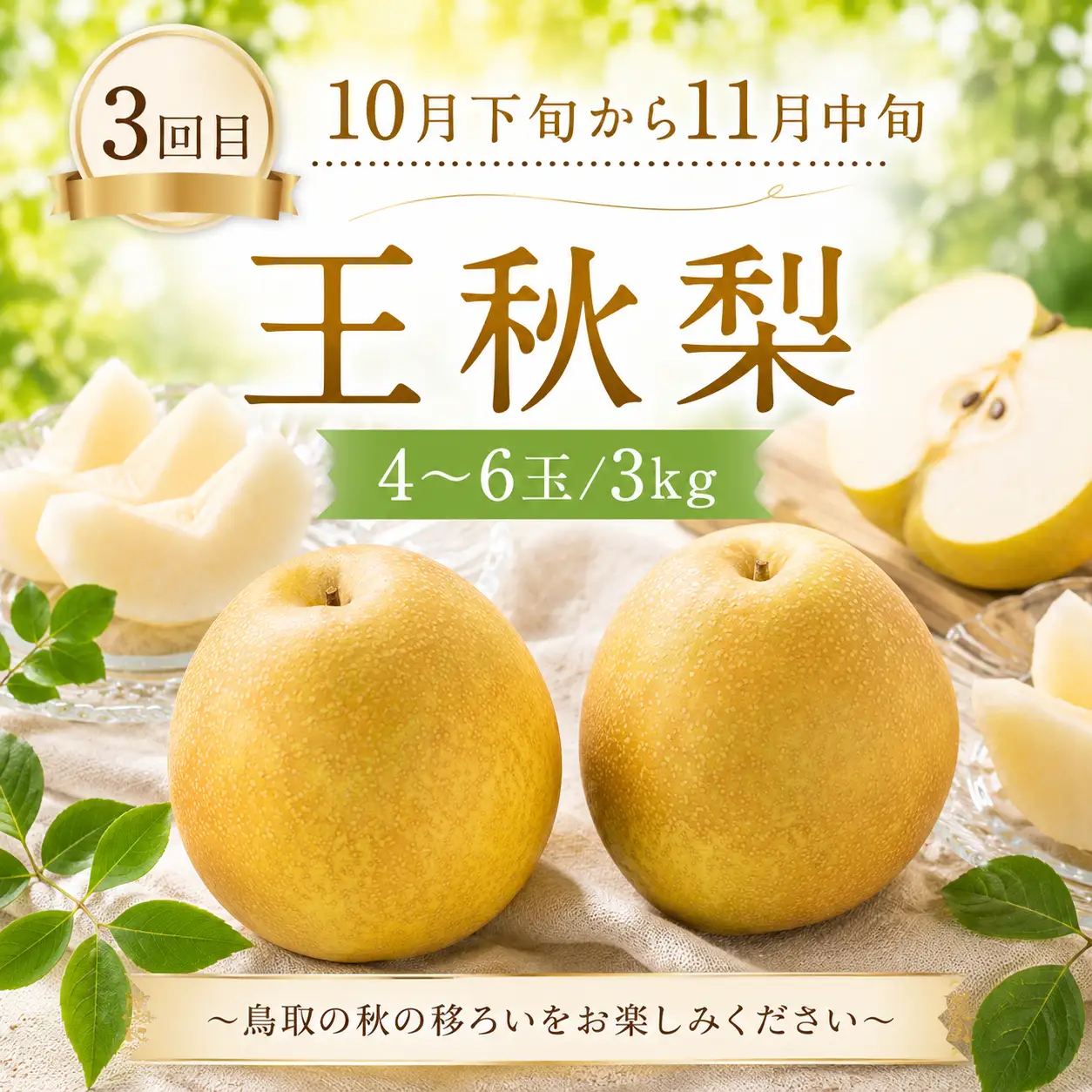 Y1063 赤梨の定期便【計3回お届け】