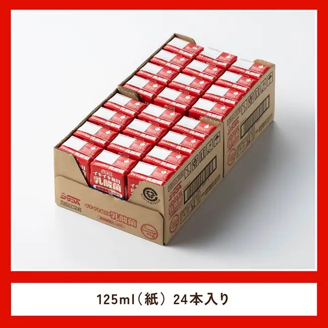 サンA イキイキ毎日乳酸菌（紙）125ml×24本 【 宮崎県 川南町 飲料類 乳酸菌 セット ジュース 紙パック 】