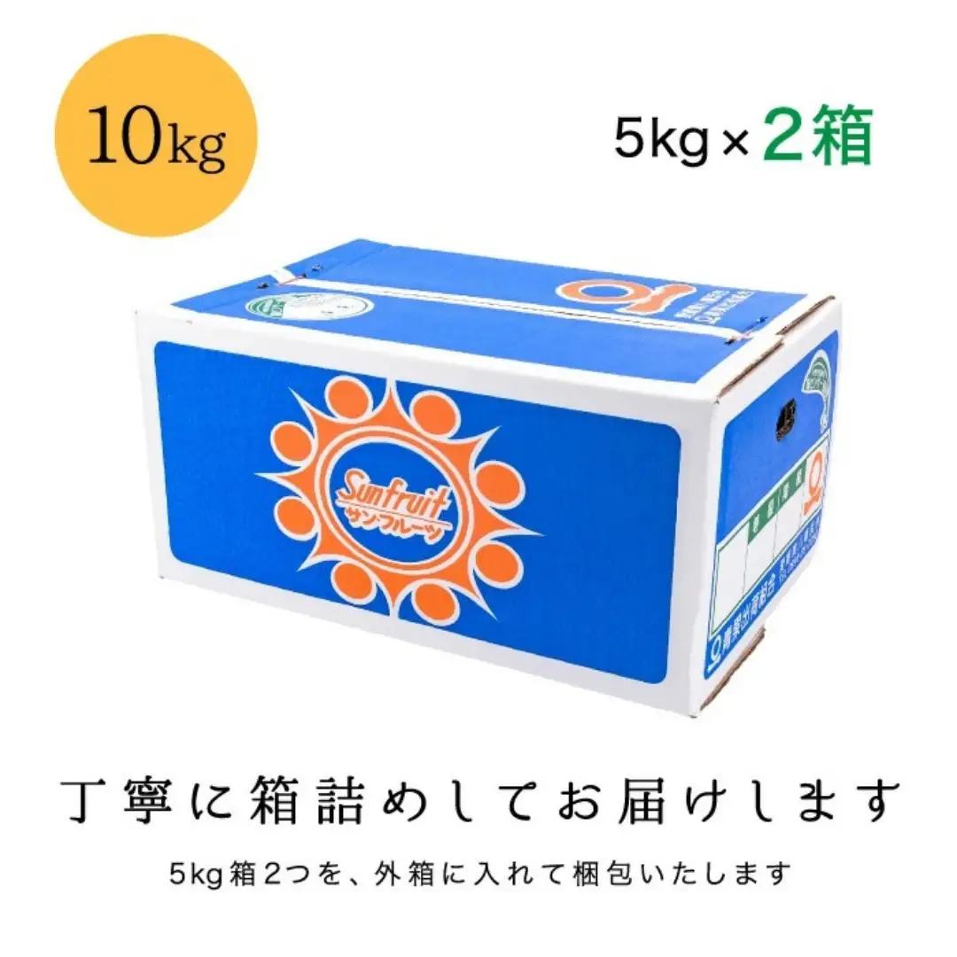 【先行受付】甘夏&サンフルーツ各5kg【D20-10】【1094576】 YWTI009