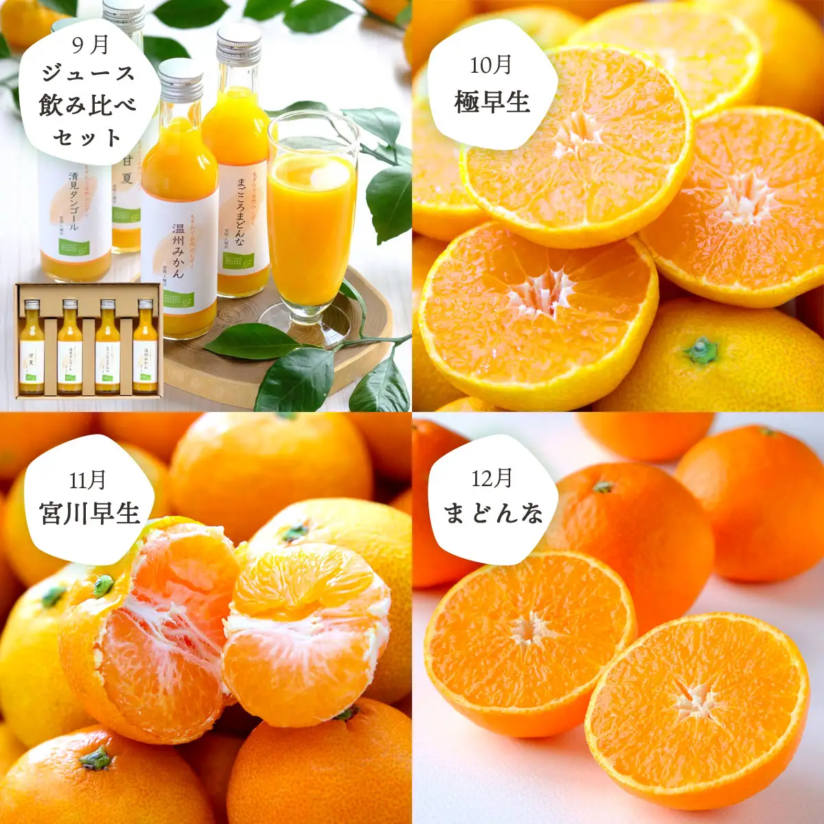 【発送月固定定期便】食べ切り少量サイズ 愛媛の人気品種!柑橘定期便(秀品)全12回【H25-156】【配送不可地域：離島】【4012890】 YWTAP098