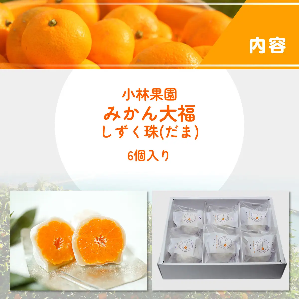 本物産地の味” みかん大福「しずく珠(だま)」口いっぱいに広がる果汁!【C24-11】【配送不可地域：離島】【1171839】 YWTAD006
