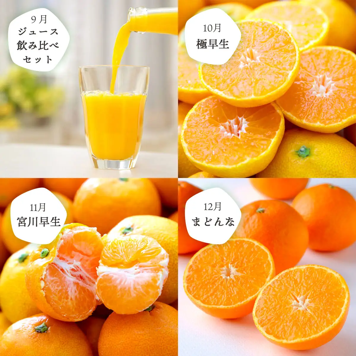 【発送月固定定期便】愛媛の人気品種を厳選!みかん定期便(秀品)【H25-166】全12回【配送不可地域：離島】【4054625】 YWTAP107