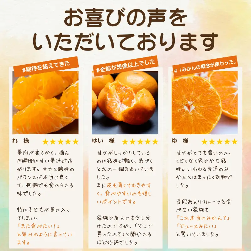 【発送月固定定期便】「こたつの上の冬物語」高級3品種　まどんな+甘平+せとか【H49-73】全3回【4056124】 YWTZ005