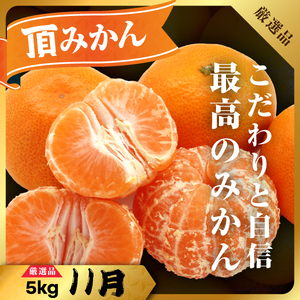 【発送月固定定期便】柑橘【みかん・まどんな・せとか・ニューサマーオレンジ】【H31-46】全4回【配送不可地域：離島】【4058612】 YWTAC035
