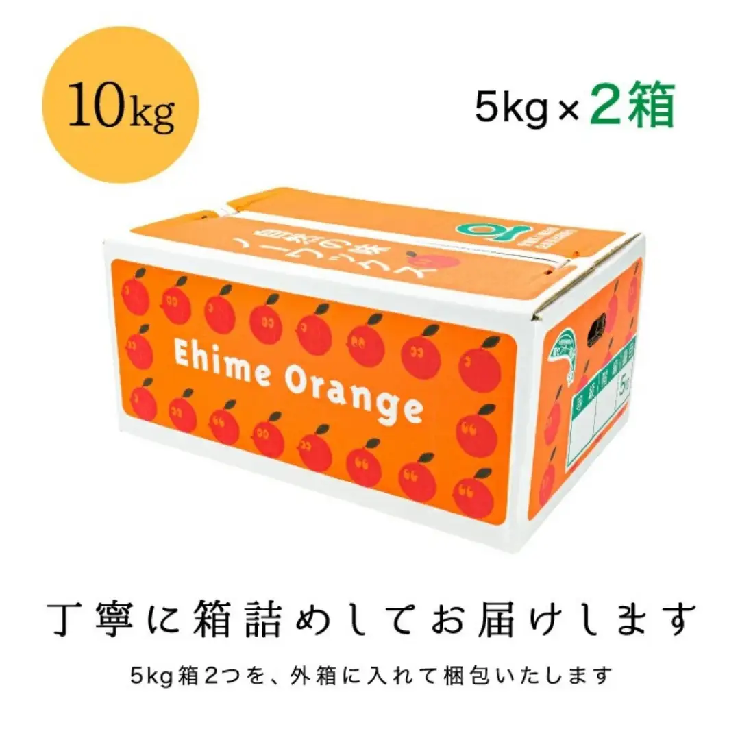 【先行受付】【糖度14.0以上酸1.4以下】糖酸選別品 愛媛産 訳あり不知火(しらぬひ)10kg【F20-63】【配送不可地域：離島】【1620233】 YWTI058
