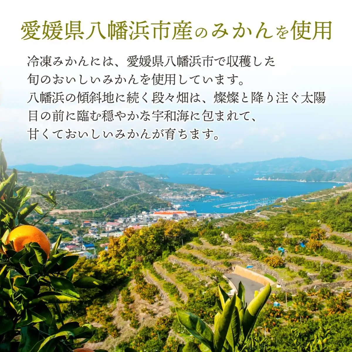 【愛媛産】シロップ・化学薬品不使用!外皮なし むき冷凍みかん3kg【F25-243】【配送不可地域：離島】【1630393】 YWTAP184