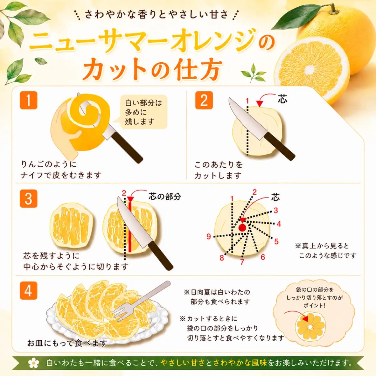【先行受付】さわやかな香りと上品な甘さ!「ニューサマーオレンジ」約5キロ【D39-83】【配送不可地域：離島】【1649781】 YWTF058