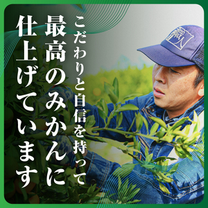 【発送月固定定期便】【4ヶ月連続】旬ごとに味わいが変化!頂みかん 2.5kg【G31-58】全4回【4073179】 YWTAC047