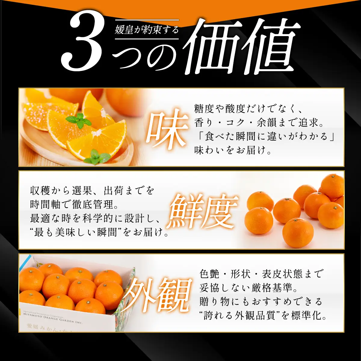 【先行受付】最高級みかん 媛皇 甘平 7kg 愛媛県 八幡浜産 西宇和地区 扁平で濃い味【H25-302】】【1713018】 YWTAP243