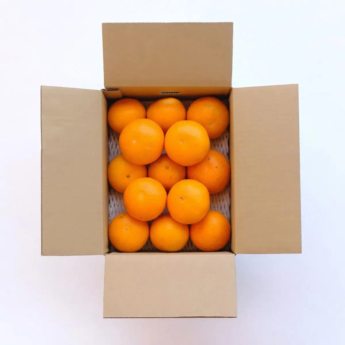 【先行受付】「紅プリンセス」と同品種 3kg みかん 愛媛県 八幡浜市 愛媛果試48号【E25-341】【1715574】 YWTAP282