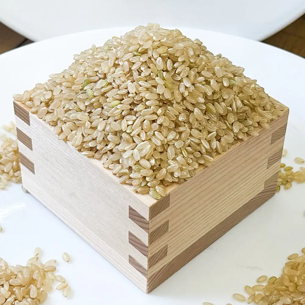 玄米 まっしぐら 青森県産 令和8年産 10kg (10kg×1袋）十和田市産