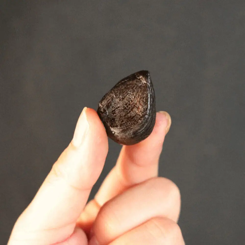 熟成黒にんにく「黒宝」500g 青森県産 添加物不使用 国産ブランドにんにく 福地ホワイト 青森期待の新人商店