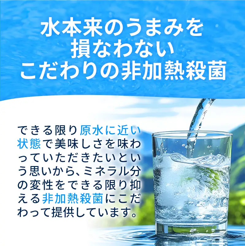 【定期便2ヶ月】熊本のおいしいお水 阿蘇山天然水 330ml×48本（2ケース）（共通返礼品・御船町） - 飲料水 ミネラルウォーター 軟水 防災 備蓄 ローリングストック【価格改定】