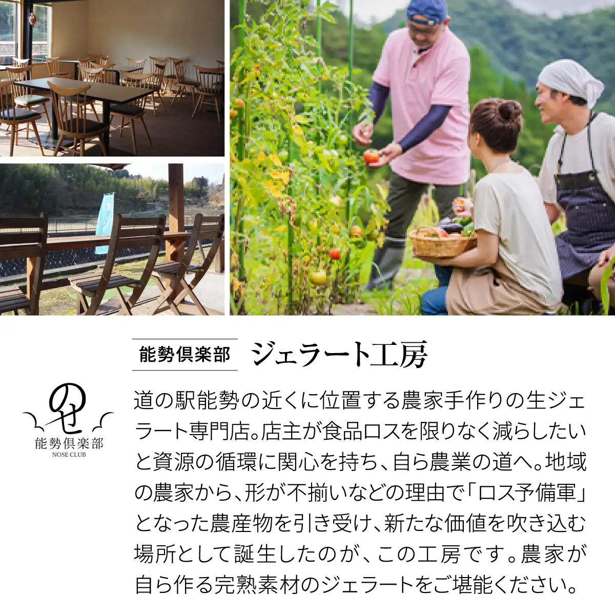 【能勢倶楽部ジェラート工房 】農家ジェラート10個セット 里山の恵みをアイスでお届け | ジェラート アイス アイスクリーム スイーツ デザート おやつ 手作り | 農家直送 旬 季節限定 栗 ミルク 詰め合わせ お取り寄せ ギフト | 大阪府 能勢町 送料無料