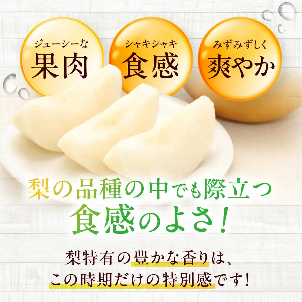 梨【2025年9月中旬から順次発送】特選 あきづき 梨 2kg（5個から7個入り）[AGBD008]