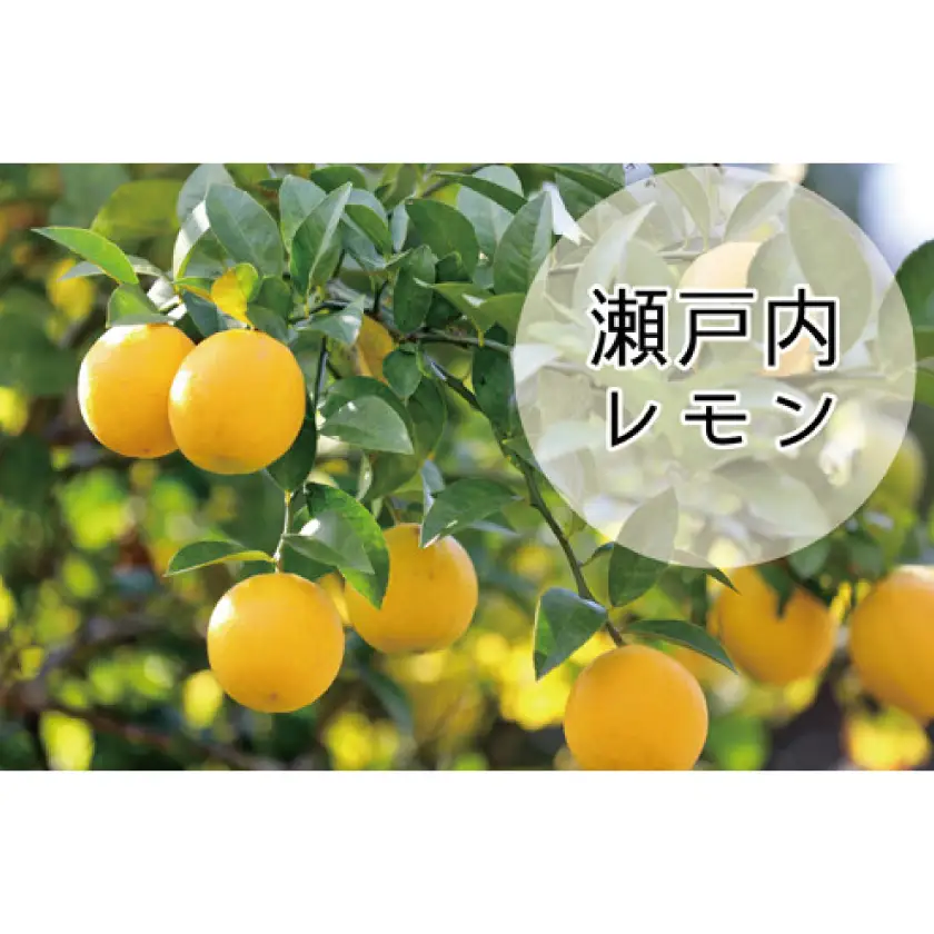 果実感とサッパリした甘さのドリズルレモンケーキ4号【配送不可地域：離島・沖縄県】【1721678】