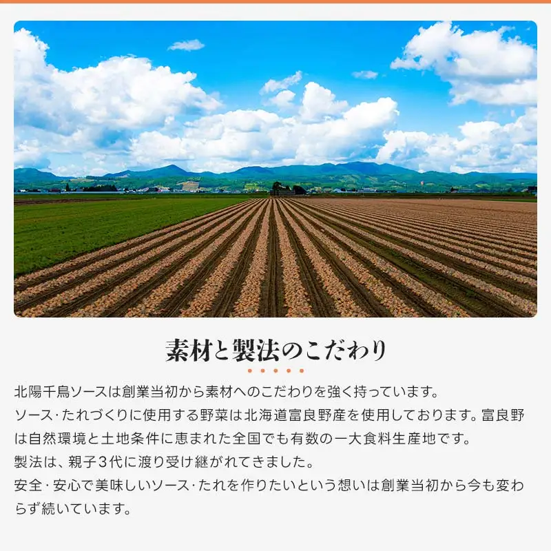 北陽千鳥ソース ウスターソース 300ml 4本 国産 玉ねぎ・人参使用！ 調味料 ソース 揚げ物 とんかつ コロッケ 家庭用 自宅用 栃木県 足利市  F7Z-1853