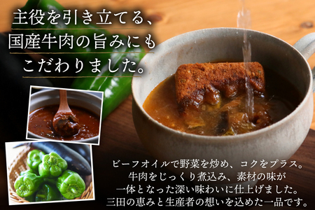 三田で育ったなすとピーマンのビーフシチュー 100食入