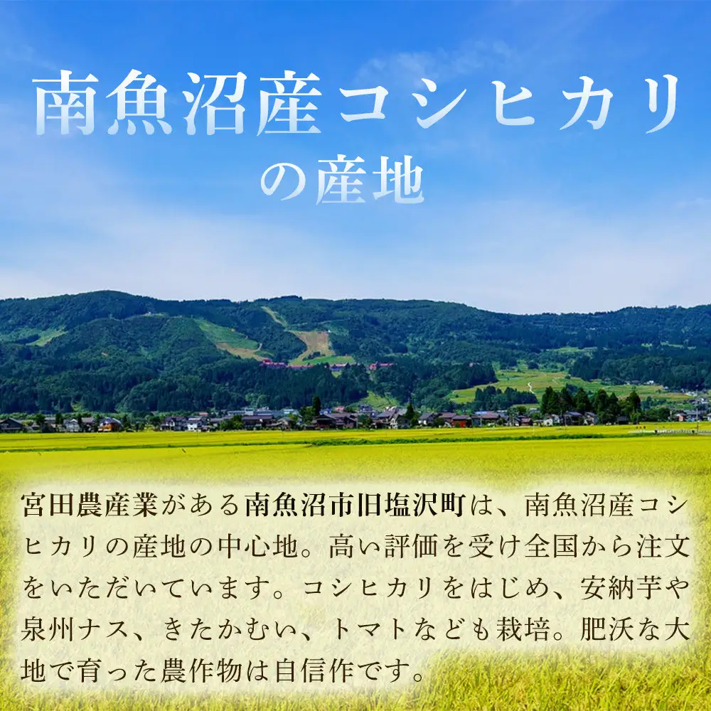 【令和8年産新米予約】【定期便12ヶ月】南魚沼産こしひかり　みやた米5kg【定期便 銘柄米 ブランド米 精米 こしひかり コシヒカリ 魚沼産 新潟米 お米 米 こめ コメ ごはん】【2026年10月上旬より1ヶ月以内に順次発送予定】