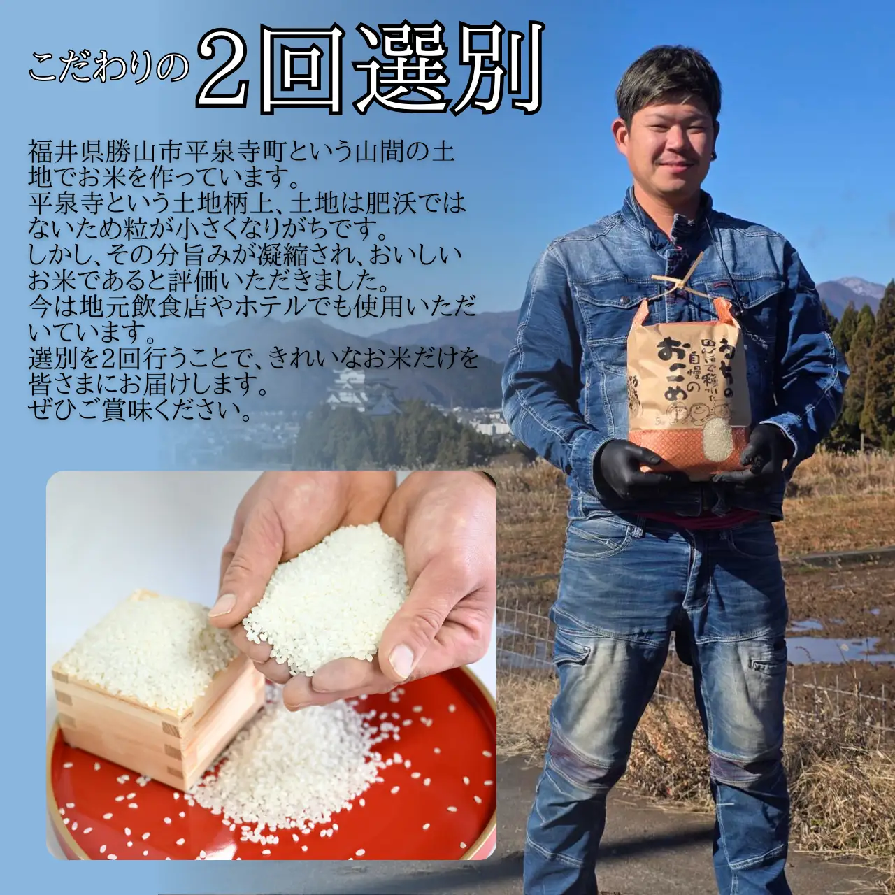 コシヒカリ 片岸さんち 白米 5kg コシヒカリ