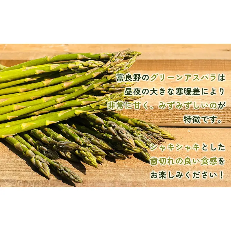 2027年春発送！ふらの グリーンアスパラ 約1.5kg [ 数量限定 先着順 アスパラ アスパラガス 野菜 新鮮 直送 北海道 富良野 ]