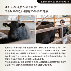 WAGYU DIAMOND FUJI サーロイン ステーキ 300g【配送不可：離島】