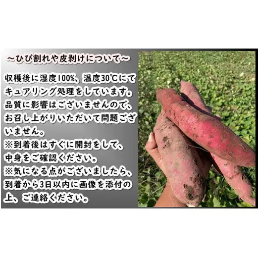 8-005-003　さつまいも（シルクスイート）2kg【マルゼン佐藤果樹園】