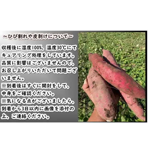8-010-013　さつまいも（シルクスイート）5kg【マルゼン佐藤果樹園】