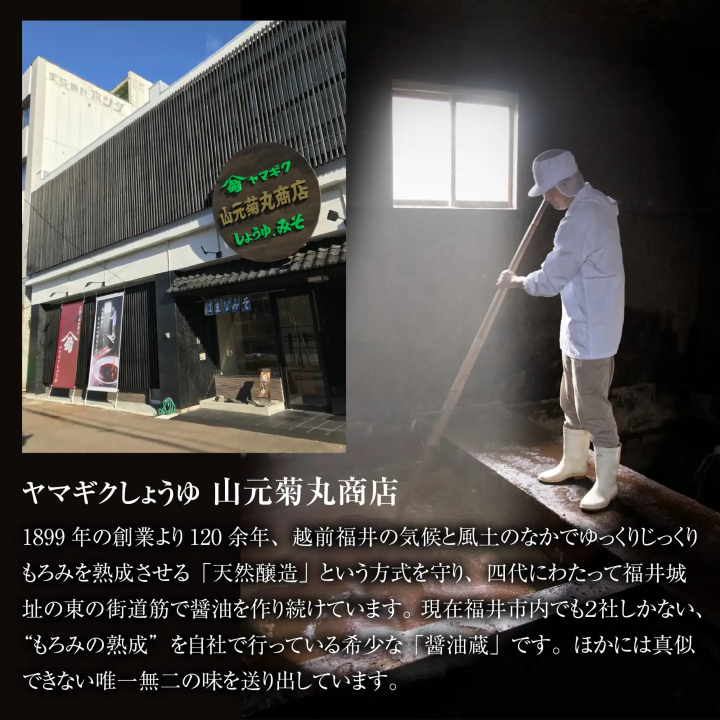 福井のこだわり地醤油2本とだししょうゆ１本（計３本）のセット [A-209001] / 醤油 しょうゆ