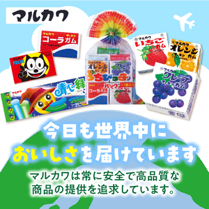 丸川製菓 フーセンガムバラエティー(マルカワ 4粒入マーブルガム5種詰合せ)  フーセンガム バラエティー マルカワ 4粒入 マーブルガム 5種 詰合せ ベストセラー 懐かしい レトロ 駄菓子 おやつ お菓子 風船ガム オレンジ グレープ いちご マスカット コーラ ガム アソートパック 東洋食品株式会社 愛知県 小牧市 送料無料 [134T18]