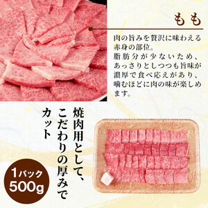 【最短発送】 飛騨牛 もも 焼肉 500g BBQ 赤身 小分け 肉のひぐち