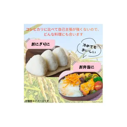 愛媛県産ひのひかり10kg