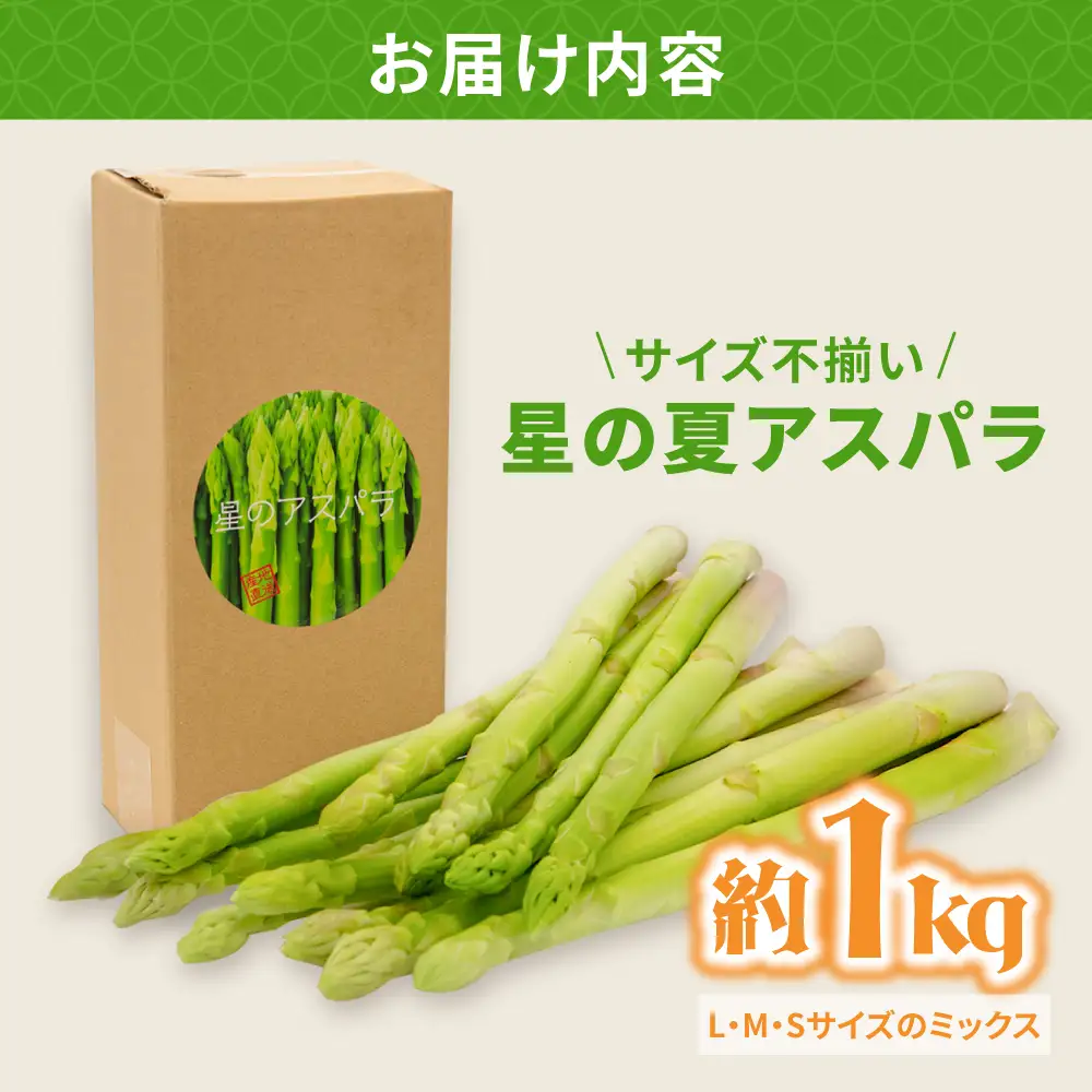 【訳あり】【星のアスパラ】グリーンアスパラガス 約1kg 【サイズ不揃い L-S】 / 訳アリ 規格外 産地直送 アスパラ あすぱら あすぱらがす 採れたて 新鮮 旬 産地直送 / 南島原市 / ほしのYA[SEY021]