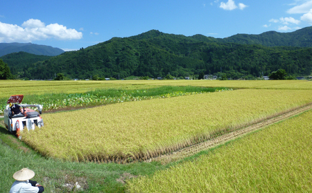 令和7年産 魚沼産コシヒカリ 惣五郎(精米)５kg お米 