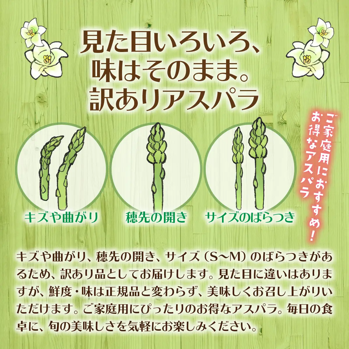 【先行予約】【2027年4月中旬頃より発送】【訳あり】朝採りグリーンアスパラ（春芽）S-M混合 約1kg 北海道壮瞥町産 SBTAJ038