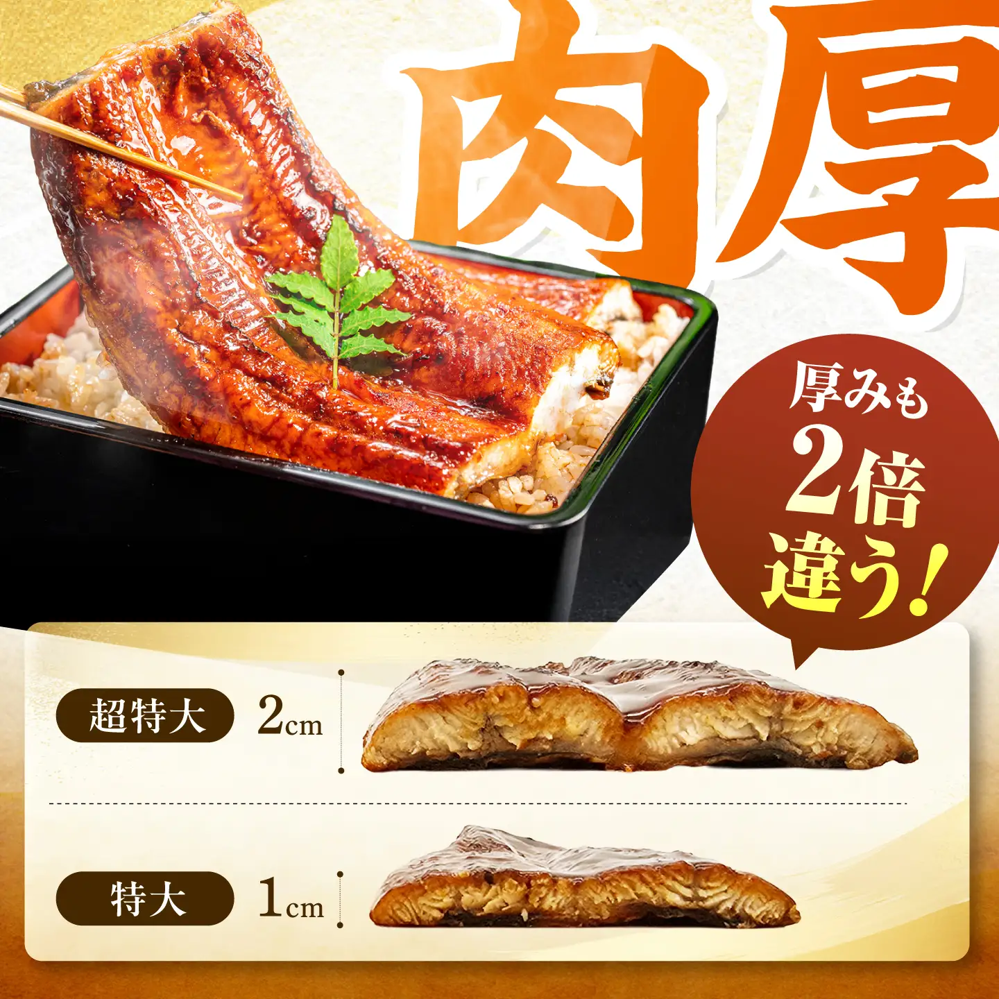 【うなぎの蒲焼】 うなぎの蒲焼 約1kg (約500g×2尾) [AFBS032]