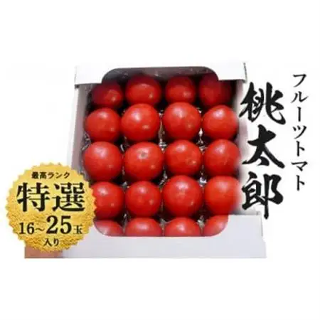 【先行受付2027年発送】美味しんぼに登場　トマト「桃太郎」大箱 16玉～25玉　特選　糖度9度以上【配送不可地域：離島・沖縄県】【1604229】