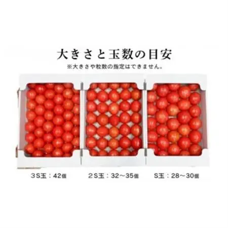 【先行受付2027年発送】美味しんぼに登場　トマト「桃太郎」大箱 28玉～42玉　特選　糖度9度以上【配送不可地域：離島・沖縄県】【1604235】