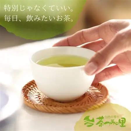【計100包】 深蒸し一番茶使用 掛川産緑茶 ティーバッグ (3g×20包)×5袋【配送不可地域：離島・沖縄県】【1716178】