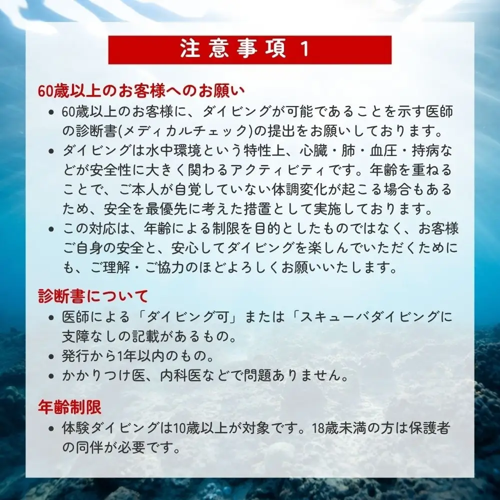 【ダイビング】和歌山県みなべ町で感動体験！サンマリン ファンダイビング（2ボート・2名様）【smr001】