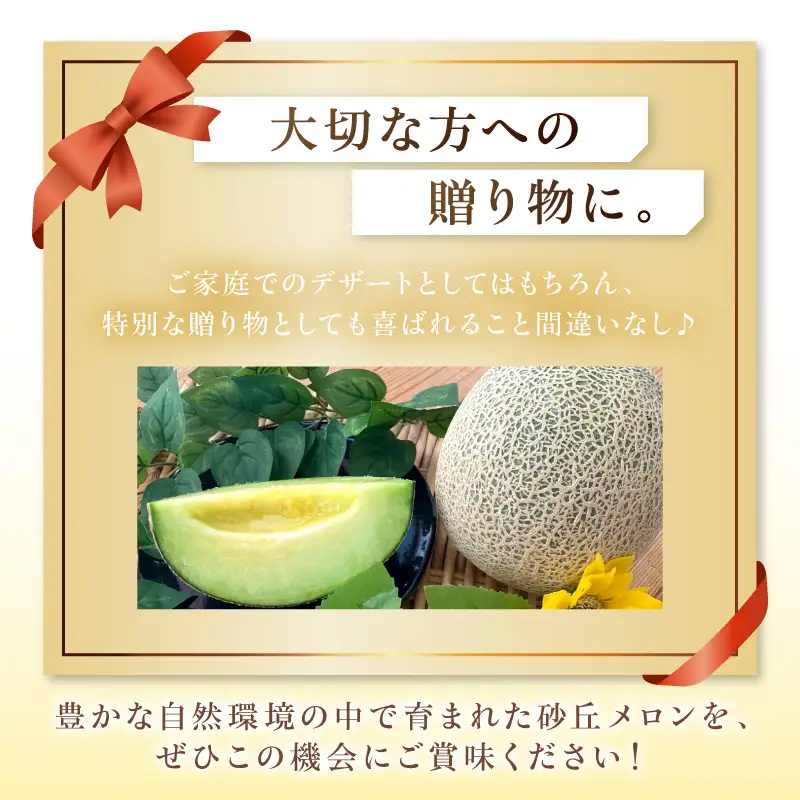 【先行予約】京丹後・俵野産 砂丘メロン 2L以上 1玉（2027年7月下旬～発送）