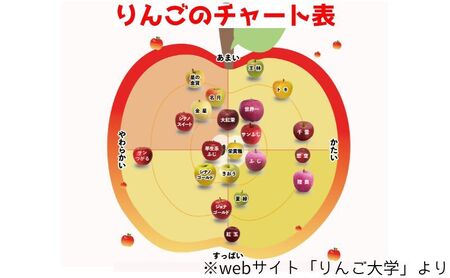 りんご 【3月発送】 家庭用 旬のりんご 品種おまかせ 約 5kg 2品種～4品種