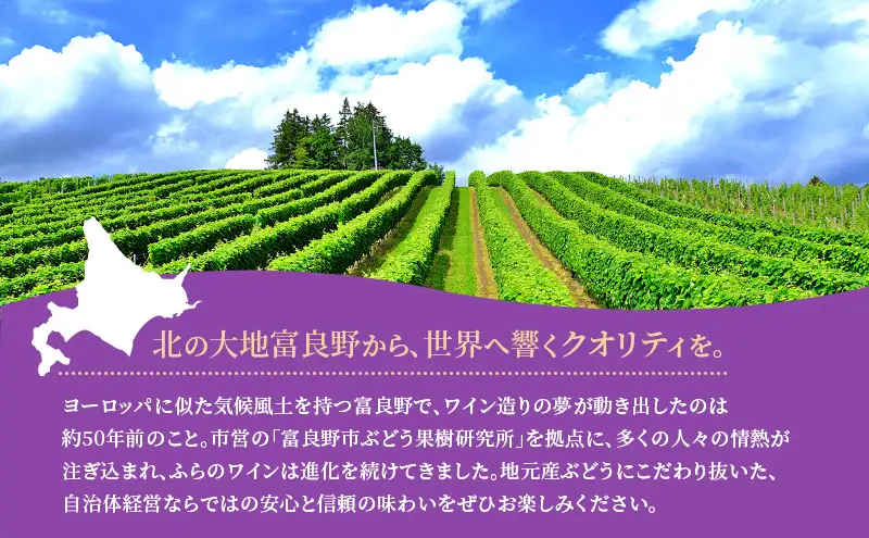 ワインセット ふらのワイン3種 白 赤 ロゼ ワインセット【3種】