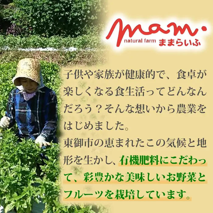 くるみのジェノベーゼ（2個）とブルーベリークリームチーズ（1個）【ナチュラルファームままらいふ】