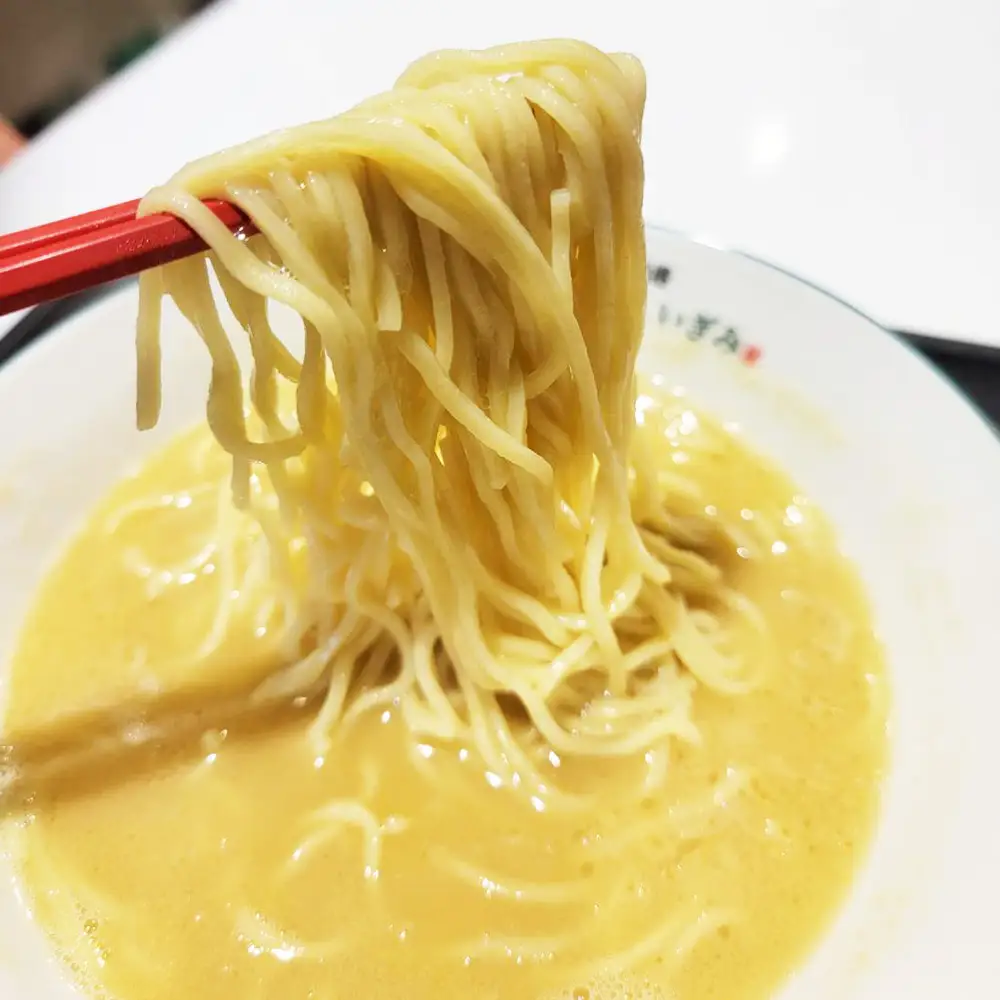 【定期便：12回】鶏白湯ラーメン 2人前（480g×2袋） 沖縄 大宜味村 らーめん こだわり 2人前 2袋 ふるさと納税 送料無料 ご当地 お取り寄せ グルメ 人気 定期 プレゼント 自分用 パイタン ぱいたん ラーメン