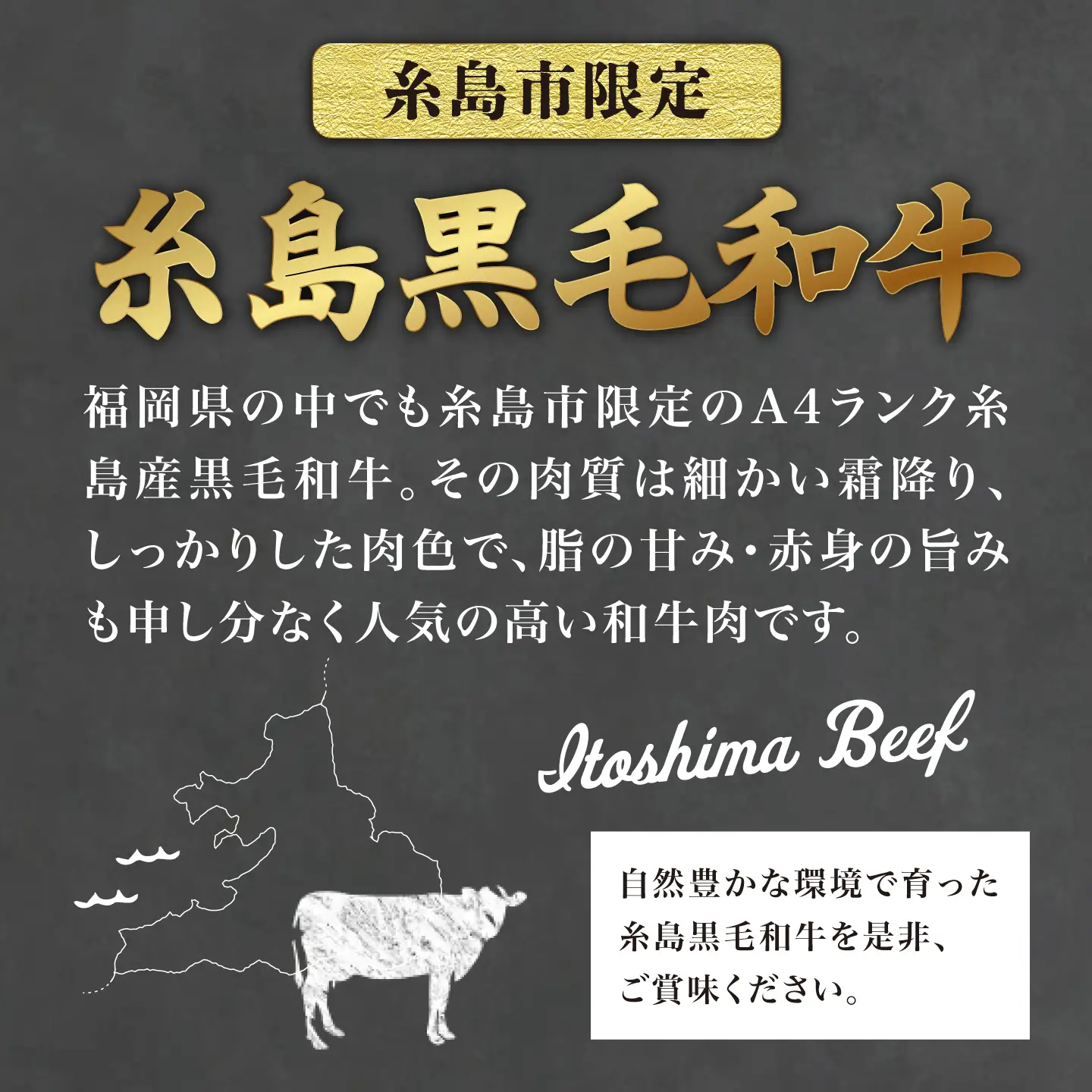 【 極厚 シャトーブリアン 】A4ランク 糸島黒毛和牛 ヒレ肉 約180g×4枚 糸島市 / 糸島ミートデリ工房[ACA387]